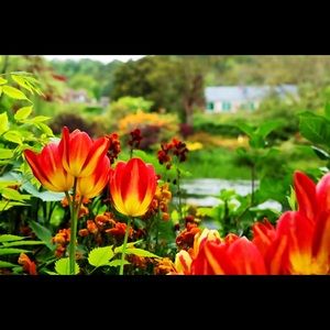 Meet your Posher, Wendy